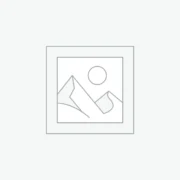 عنصر نائب Placeholder